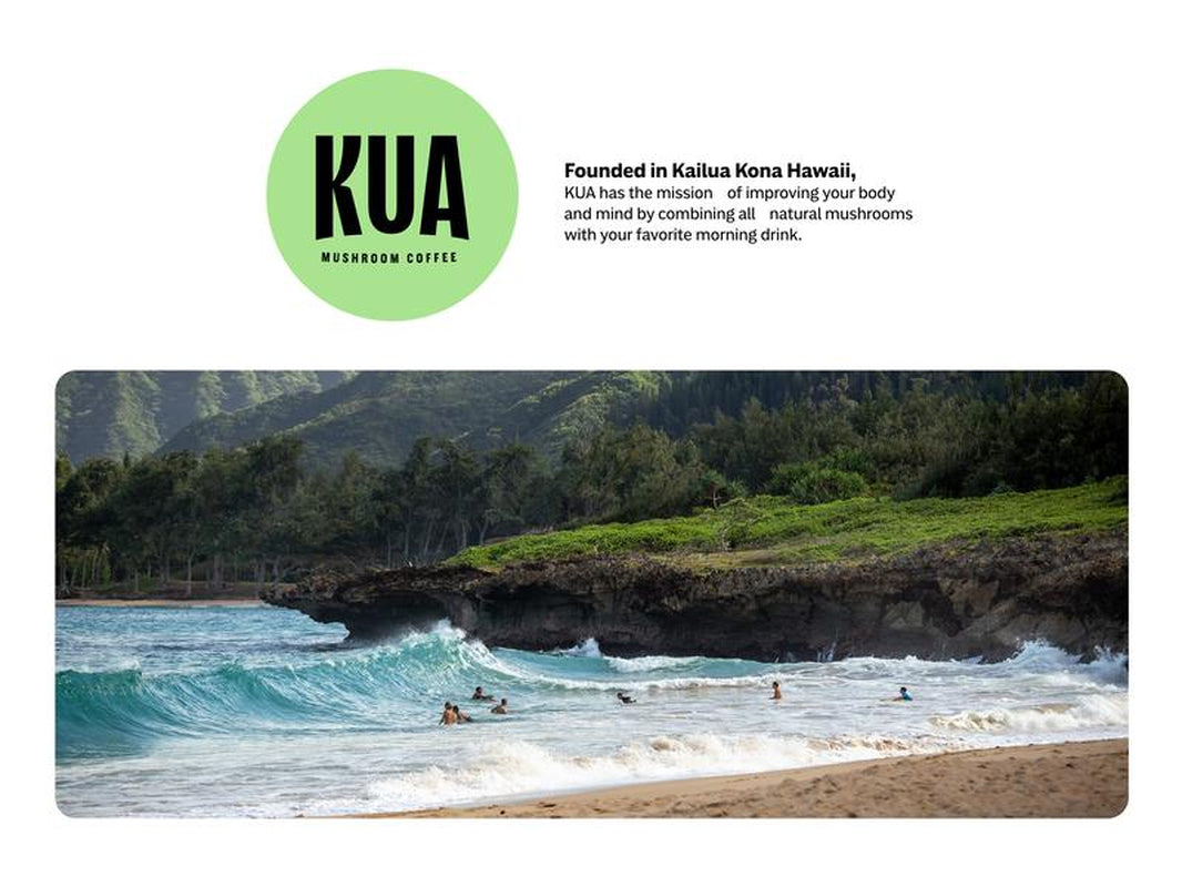 Gut Harmony Organic Adaptogenic Mushroom Coffee | Boost Focus, Gut Health, Immunity & Mood | 30 Servings of Lion's Mane, Turkey Tail & Chaga | Sugar-Free & Zero Calories - Kiki of DC Styles Store