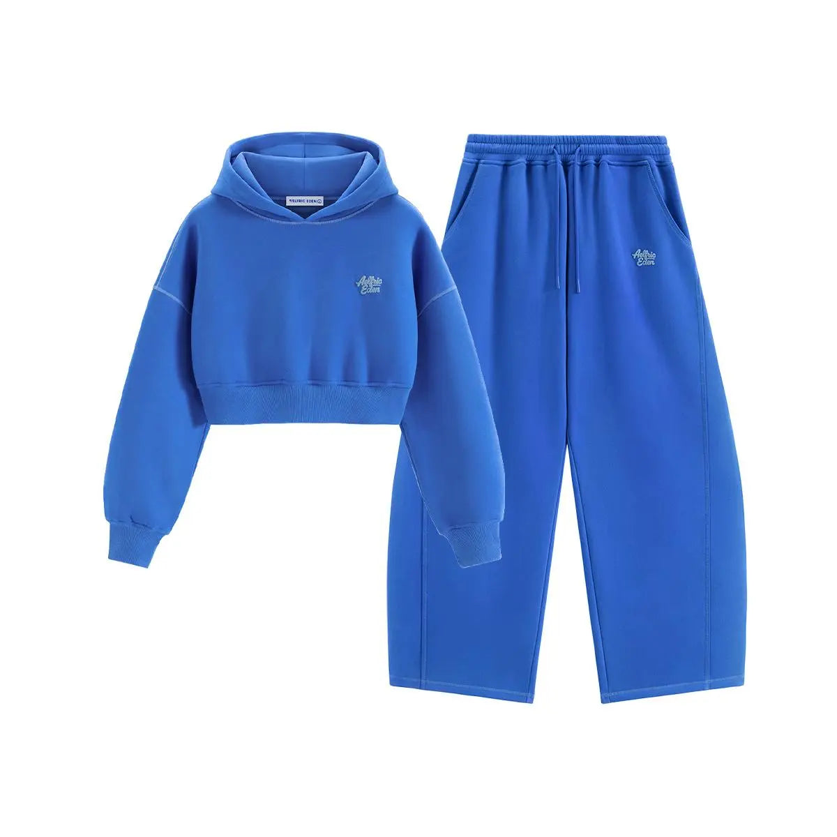 Aelfric Eden Y2K Cropped Hoodie Baggy Barrel Sweatpants Set 2 Piece Outfits Cozy Fleece Lounge Sweatsuit