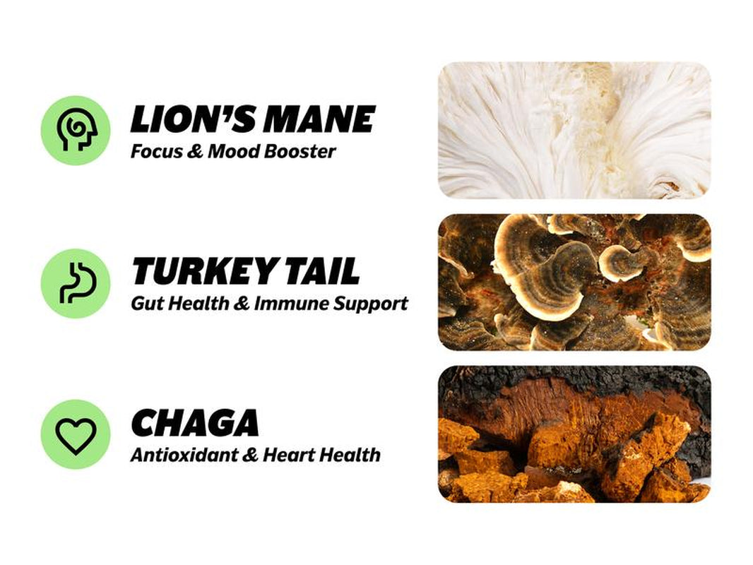 Gut Harmony Organic Adaptogenic Mushroom Coffee | Boost Focus, Gut Health, Immunity & Mood | 30 Servings of Lion's Mane, Turkey Tail & Chaga | Sugar-Free & Zero Calories - Kiki of DC Styles Store