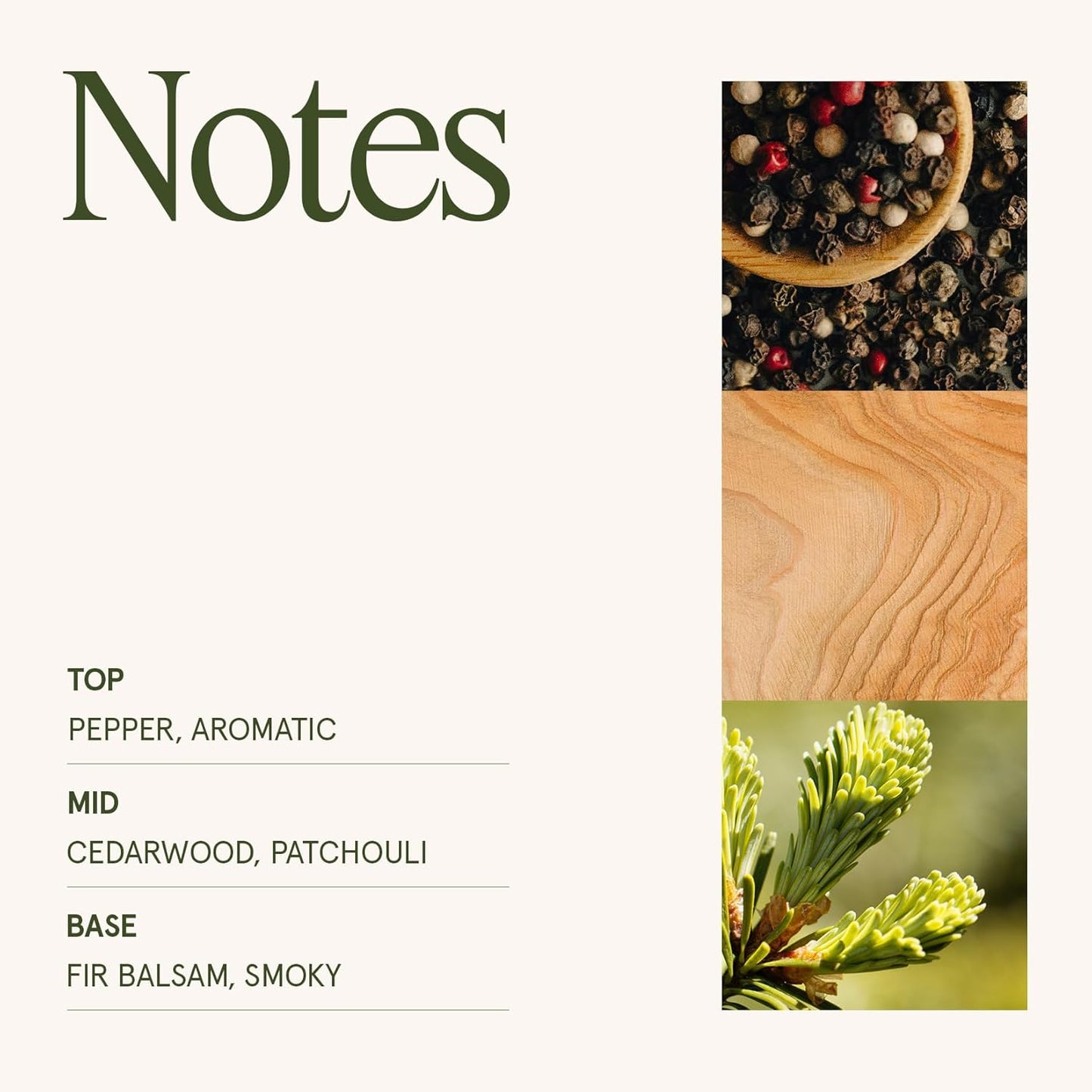 Fir & Cedarwood Candle, Christmas Candles for Home Scented, 19 Oz Large Wood Wicked Candle Gifts for Women&Men, 90 Hours Long Burning, Starlit Golden Fir - Kiki of DC Styles Store