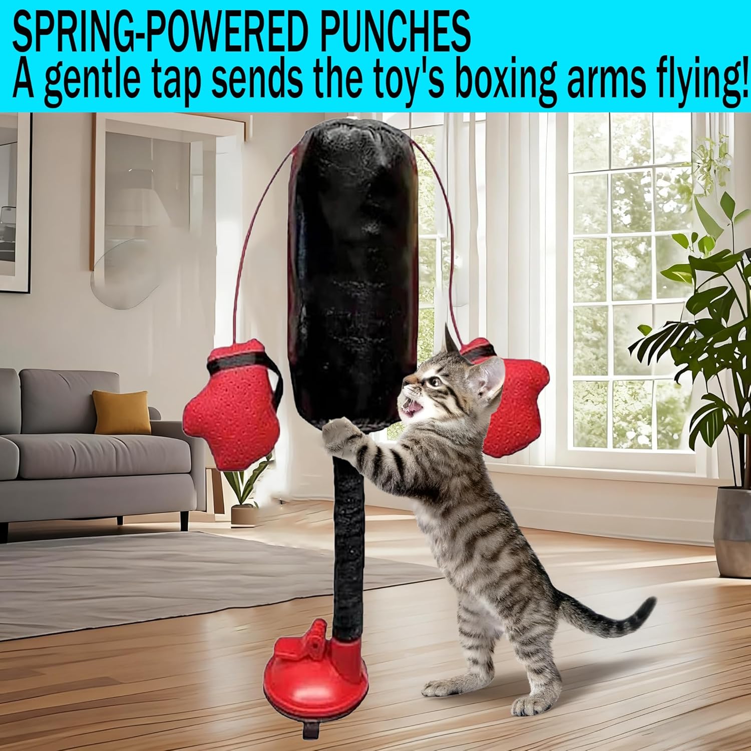 Cat Boxing Toy with Suction Cup, Interactive Cat Punching Bag Toy with Dangling Boxing Gloves, Bells & Crinkles, Kitten Toys for Indoor Cats Play, Exercise, Entertainment