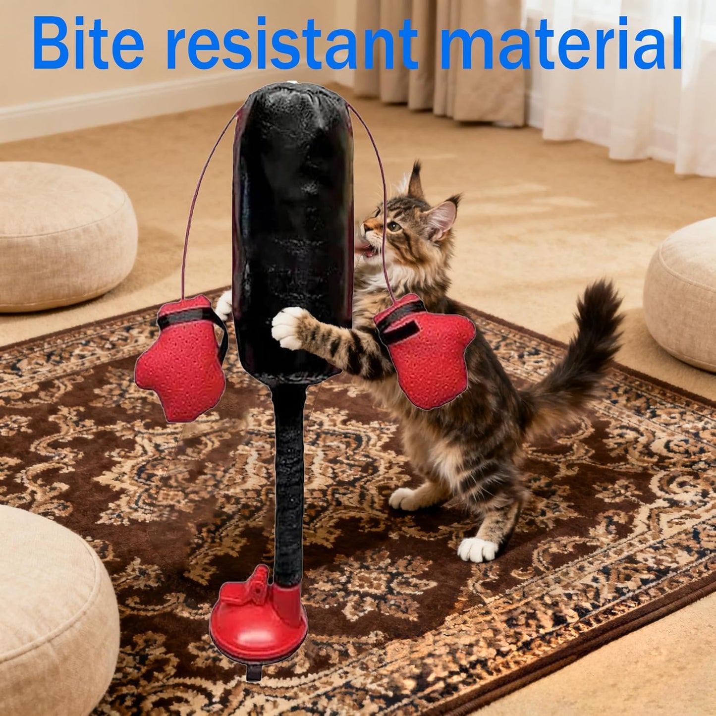 Cat Boxing Toy with Suction Cup, Interactive Cat Punching Bag Toy with Dangling Boxing Gloves, Bells & Crinkles, Kitten Toys for Indoor Cats Play, Exercise, Entertainment