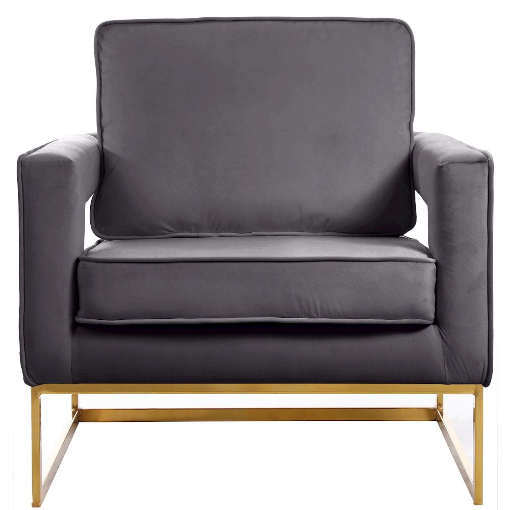 Noah Gray Velvet Accent Chair with Gold Iron Base - Kiki of DC Styles Store