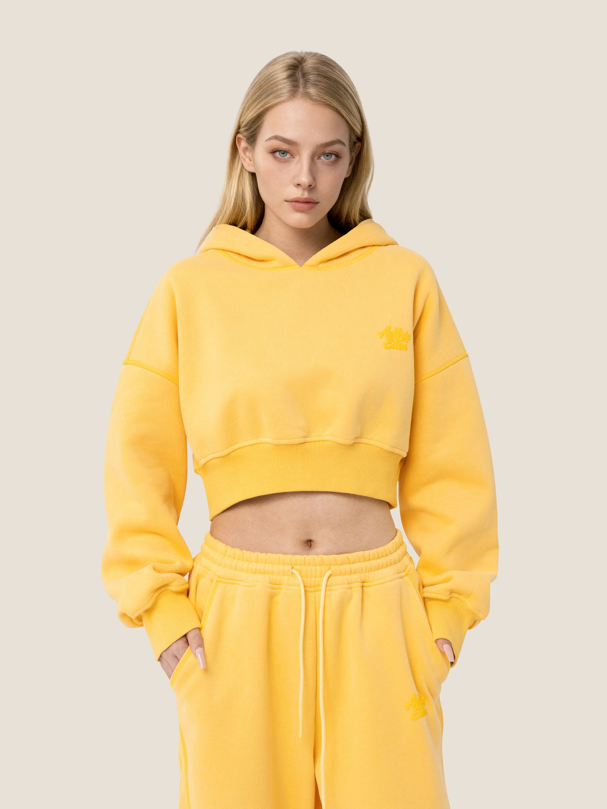 Aelfric Eden Y2K Cropped Hoodie Baggy Barrel Sweatpants Set 2 Piece Outfits Cozy Fleece Lounge Sweatsuit